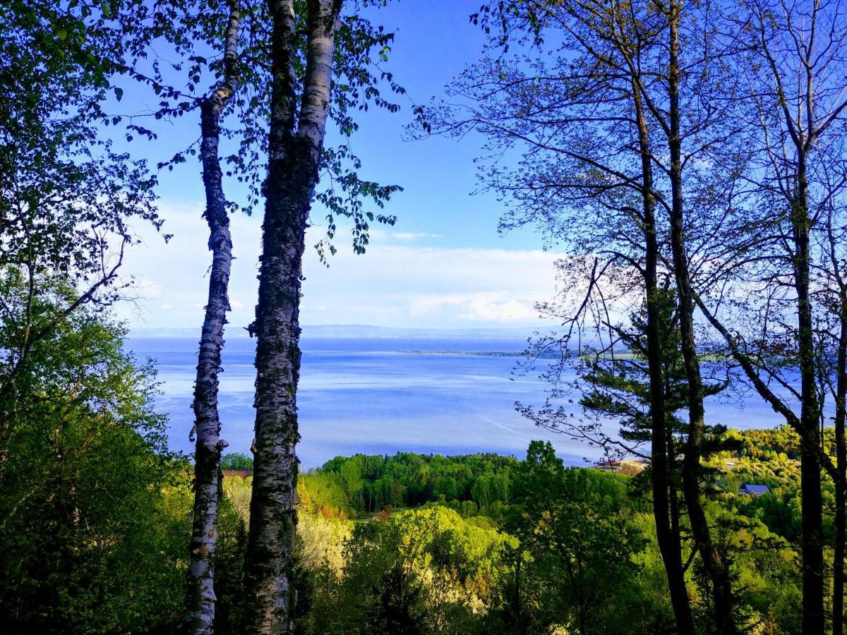 Auberge De La Rive De Charlevoix - Auberge De Jeunesse Familiale Pour Voyageurs De Tous Ages Saint-Joseph-de-la-Rive Екстер'єр фото